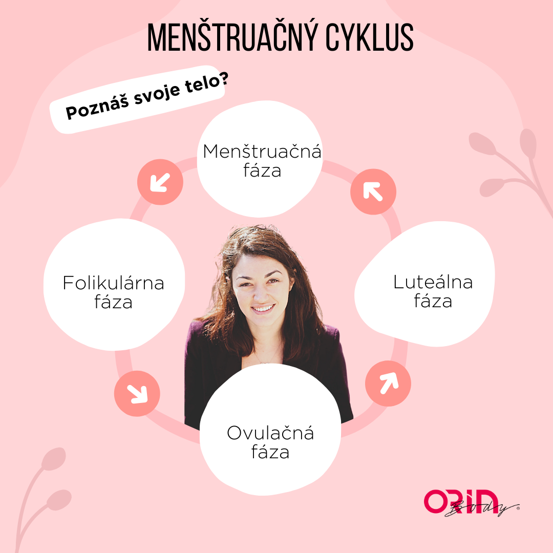 menštruačný cyklus